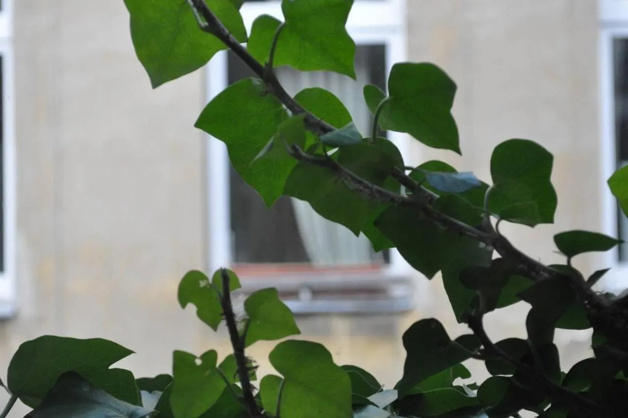 Freiraum Hostel Kreuzberg Berlin
